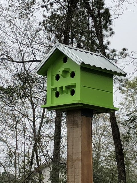 There are bird boxes positioned along Harmony Station where walkers can hear birds chirping peacefully.