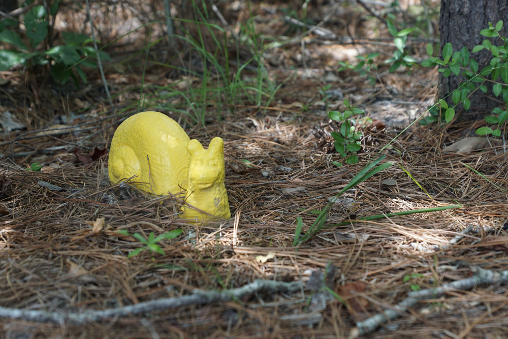 Discover woodland creature statues throughout Exploration Trails.