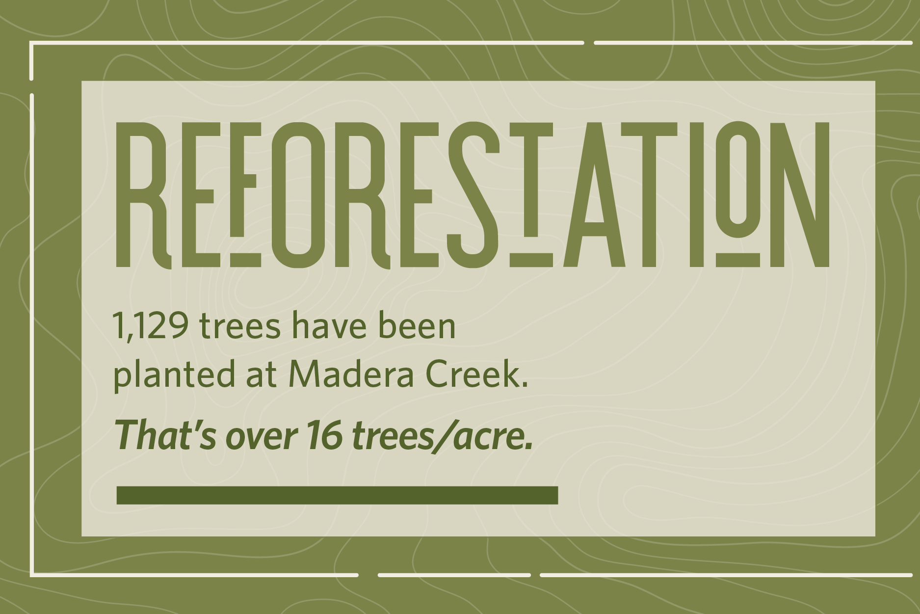 Reforestation